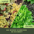 6 VORHER NACHER.png