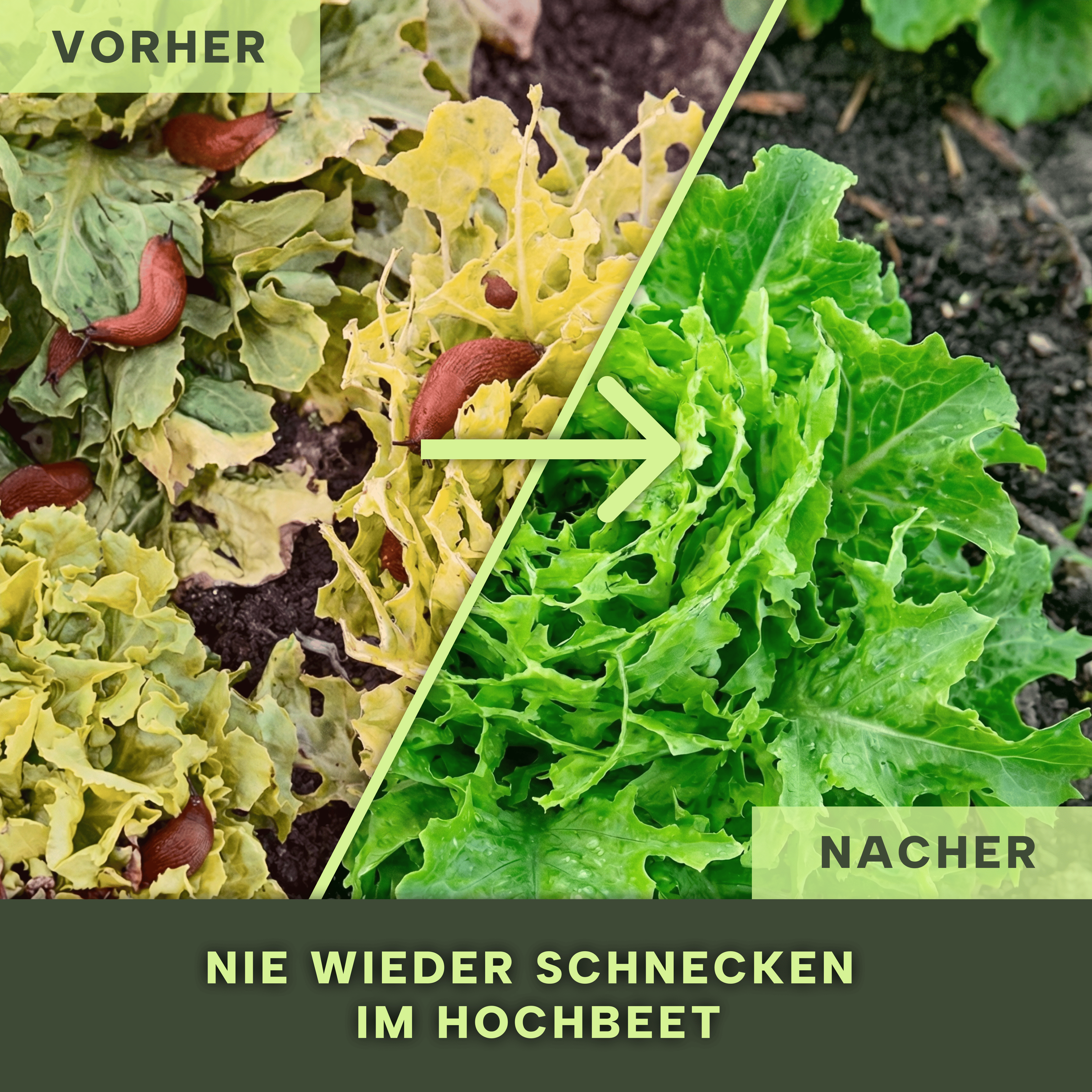 6 VORHER NACHER.png